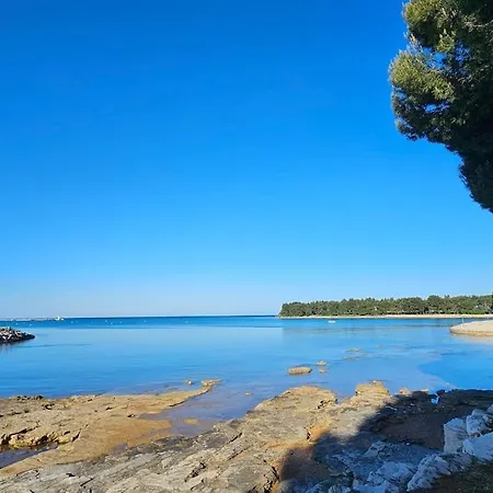 Seafront House Novigrad, Mare Oliva, Istria
