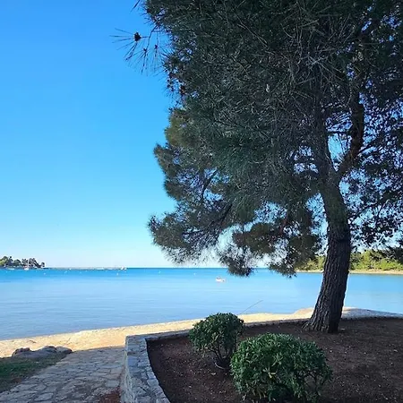 Seafront House Novigrad, Mare Oliva, Istria * Novigrad Istria